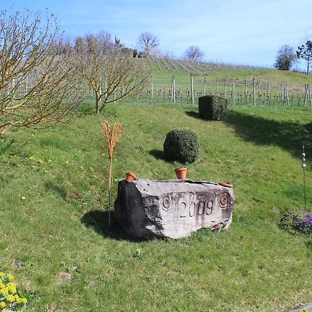 Ferienwohnung Am Weinberg Oberkirch  Exteriör bild