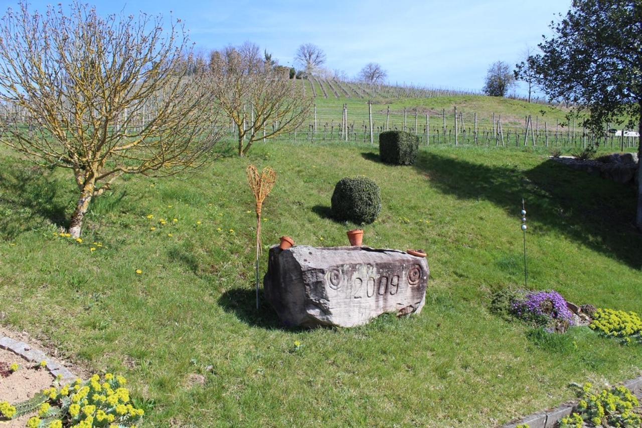 Ferienwohnung Am Weinberg Oberkirch  Exteriör bild