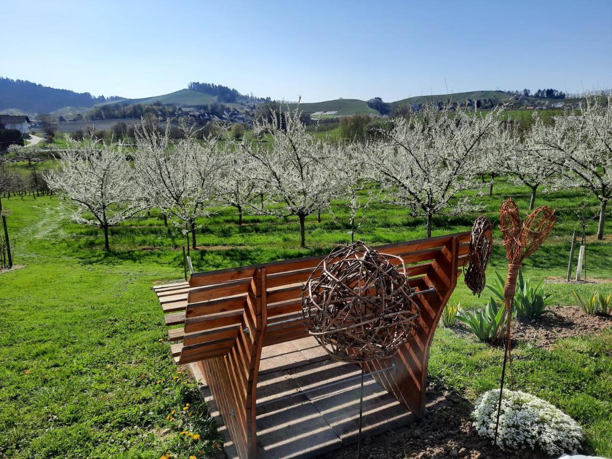Ferienwohnung Am Weinberg Oberkirch  Exteriör bild