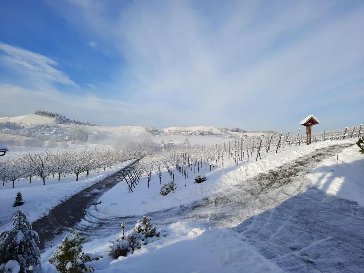 Ferienwohnung Am Weinberg Oberkirch  Exteriör bild