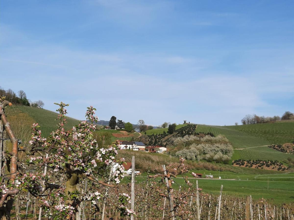 Ferienwohnung Am Weinberg Oberkirch  Exteriör bild