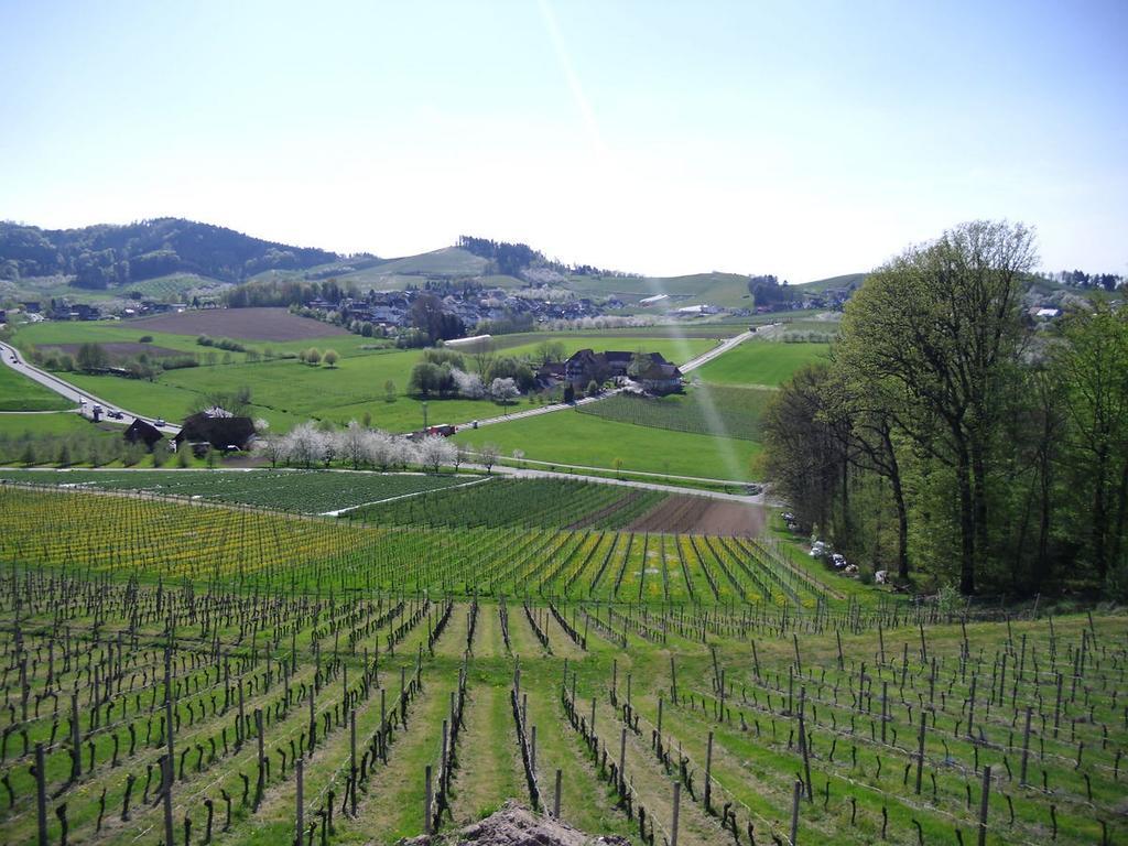 Ferienwohnung Am Weinberg Oberkirch  Exteriör bild